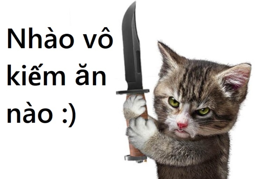 Những ảnh meme mèo cầm dao lầy nhất 1