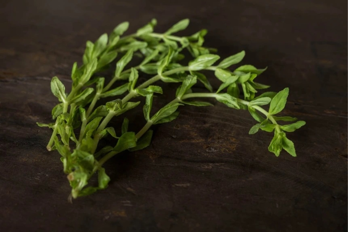 Cách nhặt rau ngổ