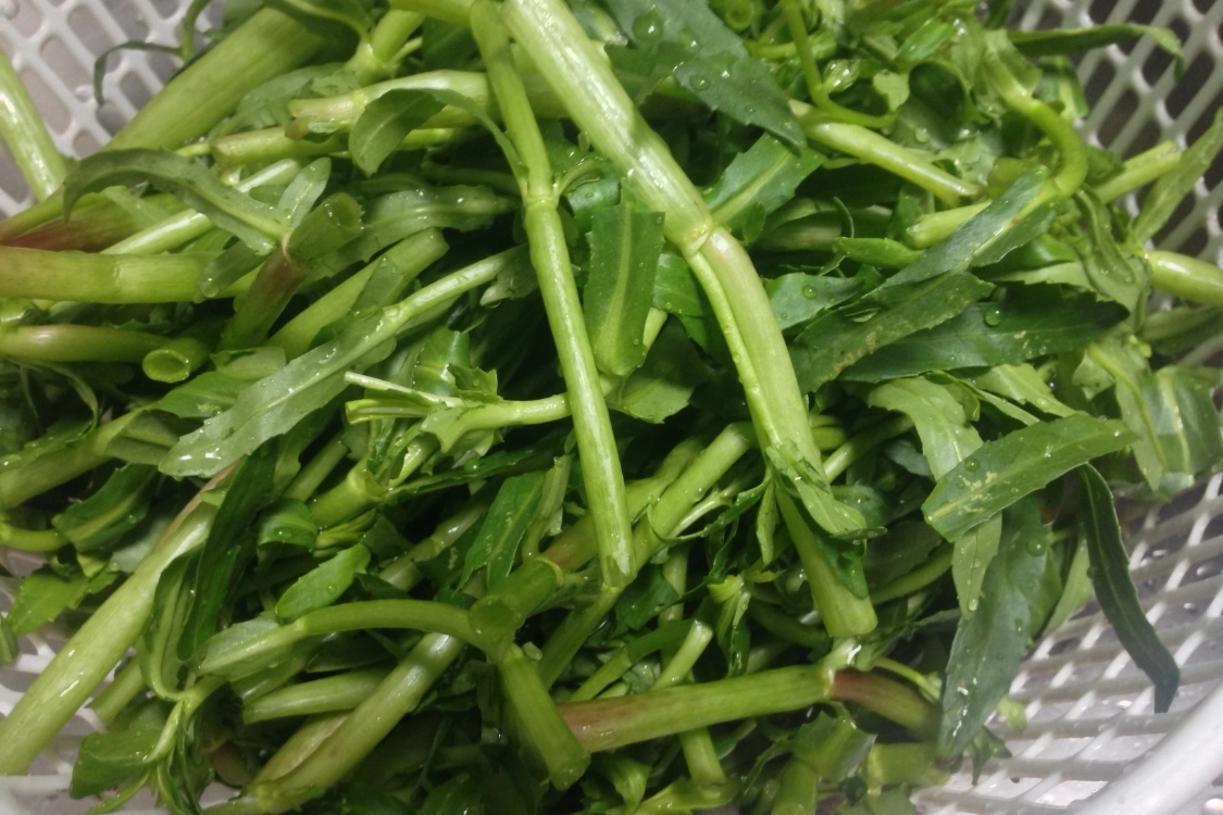 Cách nhặt rau ngổ 1