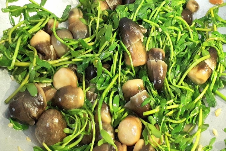 Rau đắng nấu món gì? Tổng hợp 5 món ngon từ rau đắng giúp giải nhiệt mùa hè - Hình 5