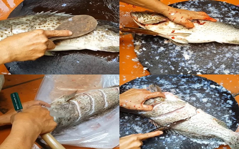 cá song nướng - ảnh 2