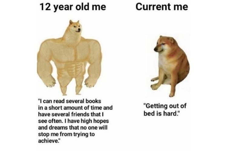 meme ảnh chó hài 6