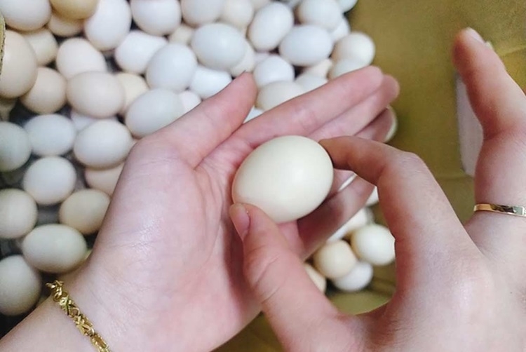 Cách làm bánh tart trứng phô mai yến mạch không gây béo bằng nồi chiên không dầu - Hình 2