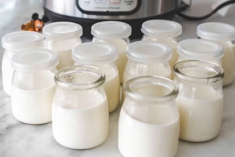 Ưu điểm của máy làm sữa chua