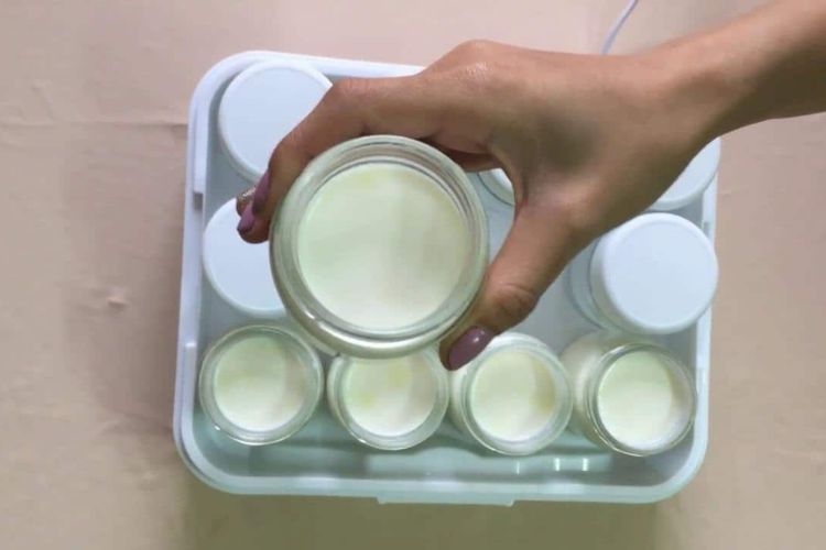 Chia các hũ sữa chua