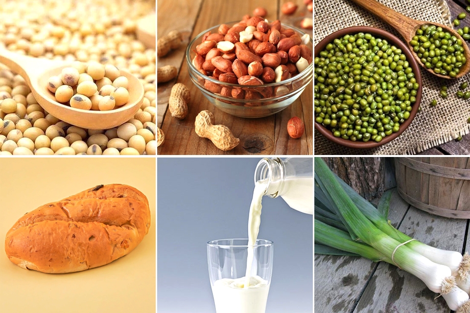 Nguyên liệu làm Pate chay từ đậu nành, đậu xanh và đậu phộng.
