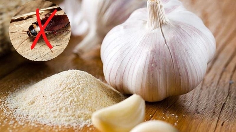 Bột tỏi là gì 4