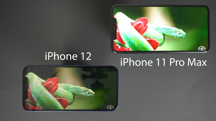 iPhone 12 và 11 Pro Max sản phẩm nào ưu việt và nổi bật hơn - hình 2
