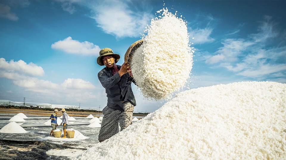 Phơi muối dưới nắng.