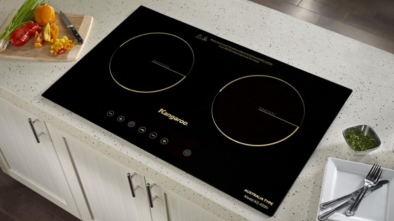 Thương hiệu bếp từ Việt có tốt không? Gợi ý 3 thương hiệu bếp từ Việt được tin dùng nhất hiện nay 4