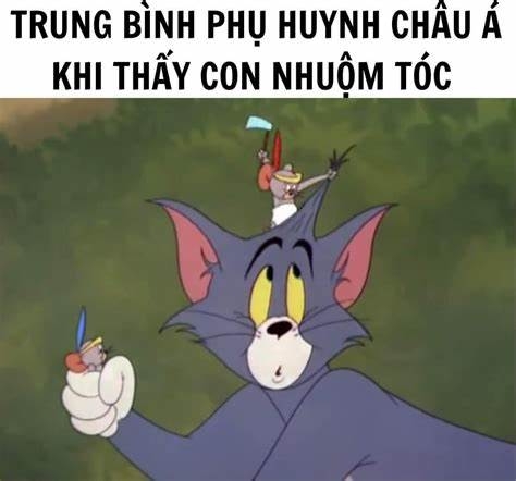 Ảnh hài về mèo Tom