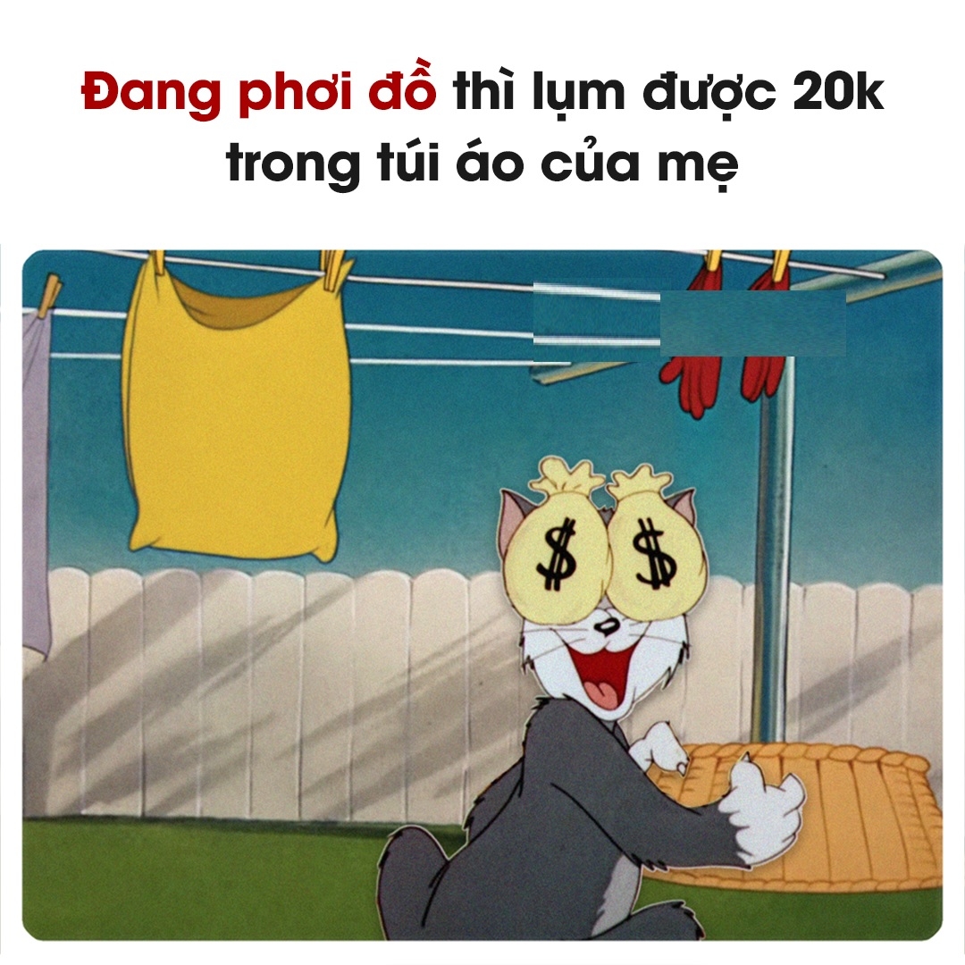 Ảnh chế về mèo Tom