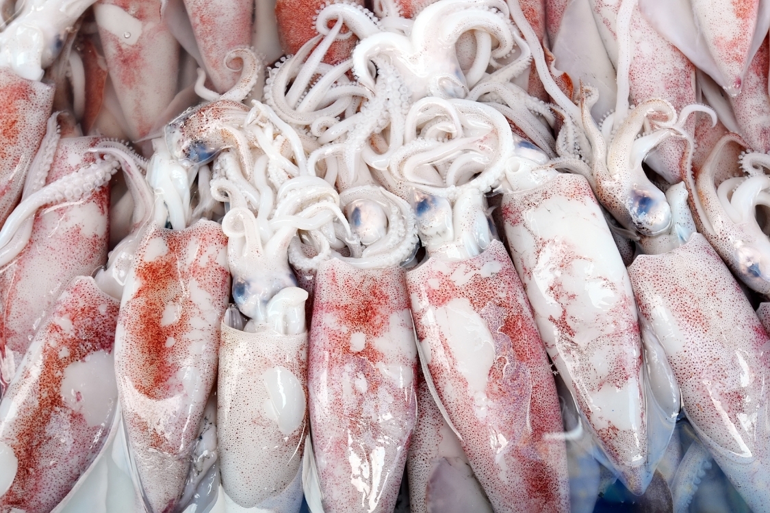 Cách chọn mực tươi ngon