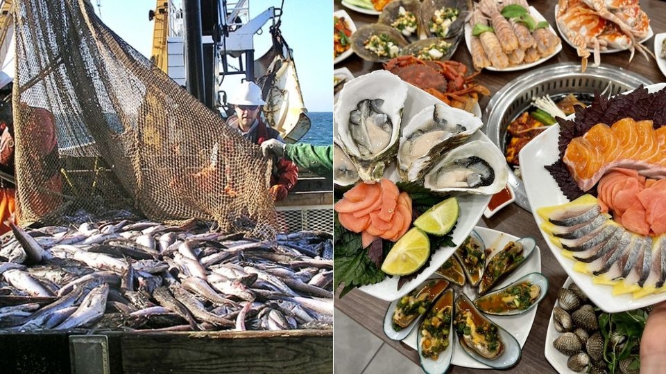Thủy sản và hải sản có gì khác nhau?