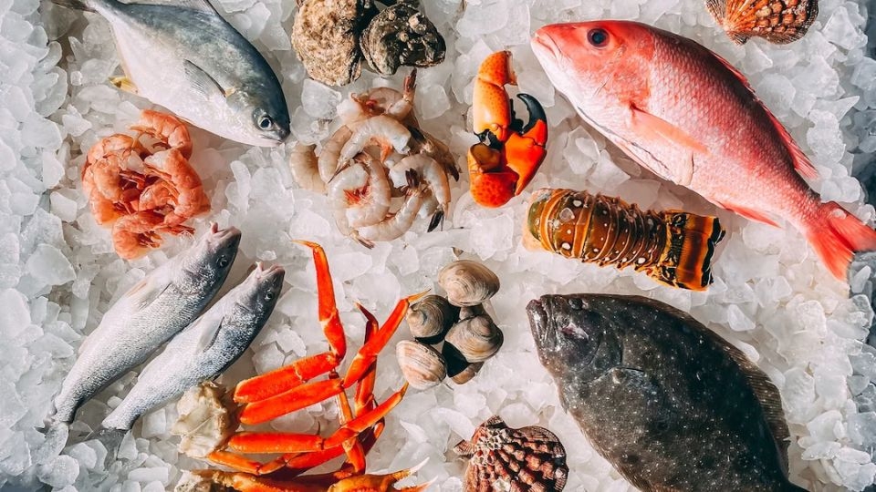 Hải sản là gì?