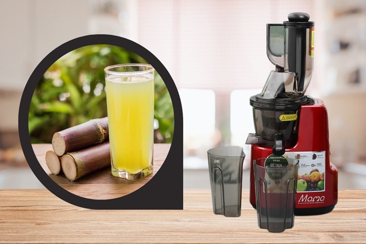 Máy ép chậm có ép được mía hay không? Các nguyên liệu cần lưu ý khi sử dụng máy ép chậm là gì? 1