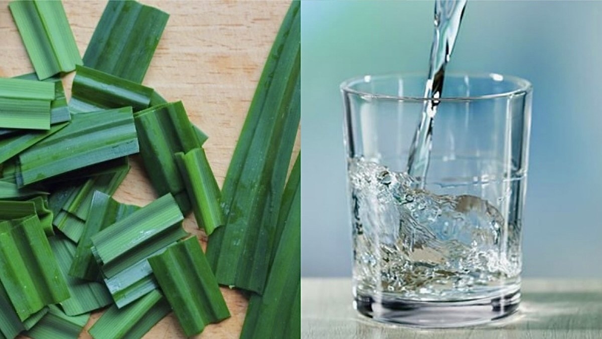 cách lấy nước cốt lá dứa không bị đắng (Ảnh 2)