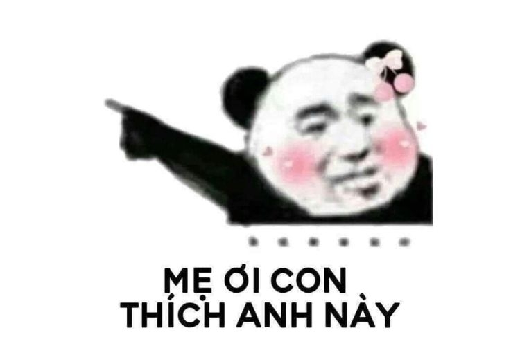 meme gấu trúc 1