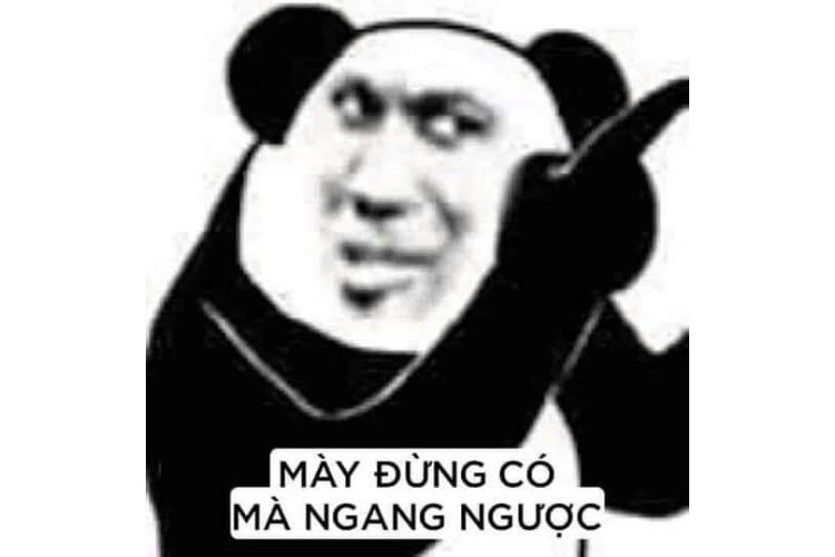 meme gấu trúc 3