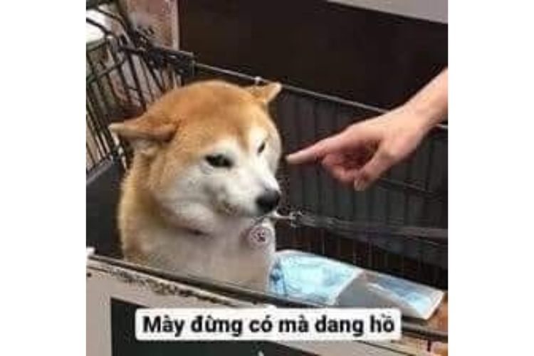 meme cheems 2