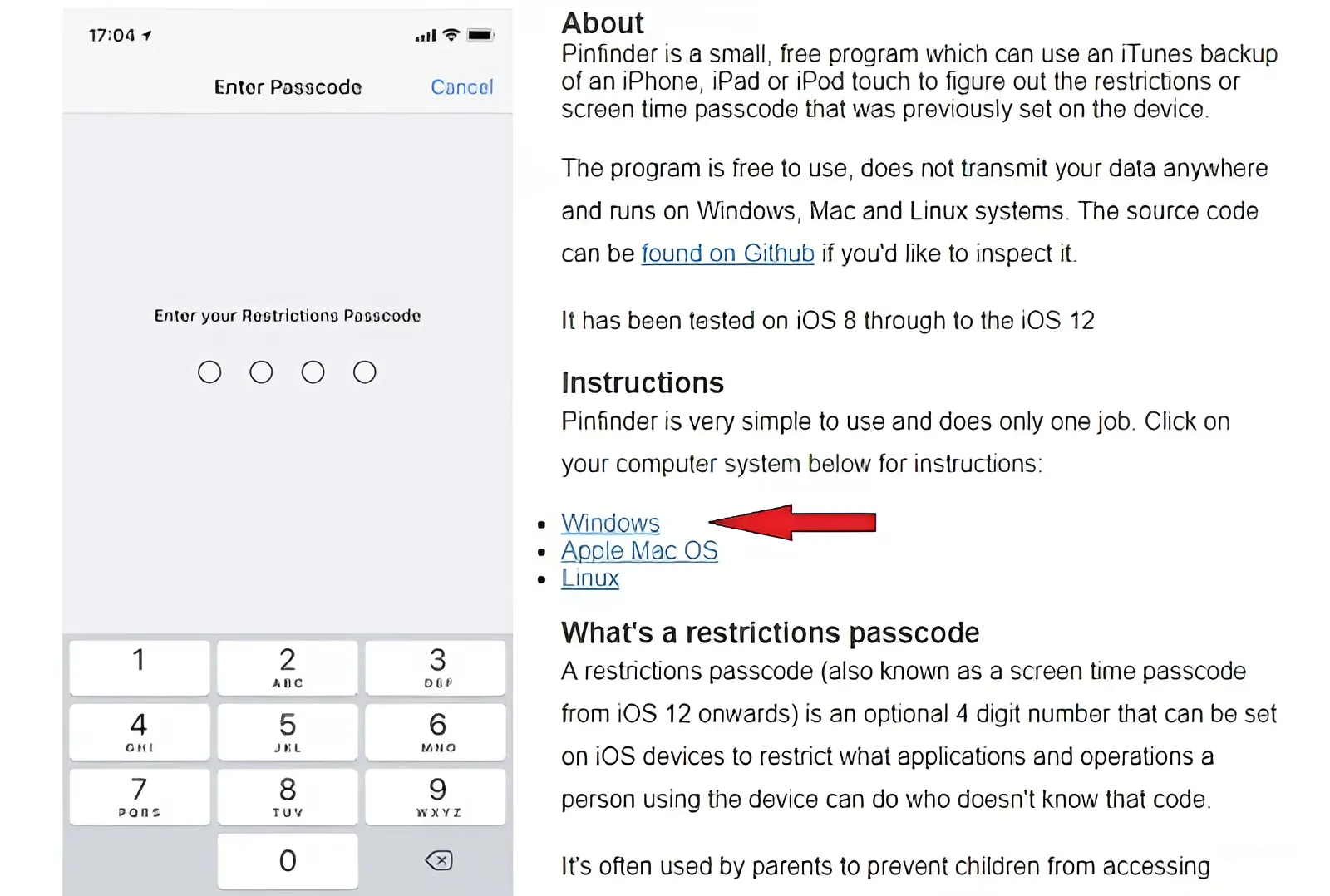 Quên mật khẩu giới hạn iPhone (ảnh 13)