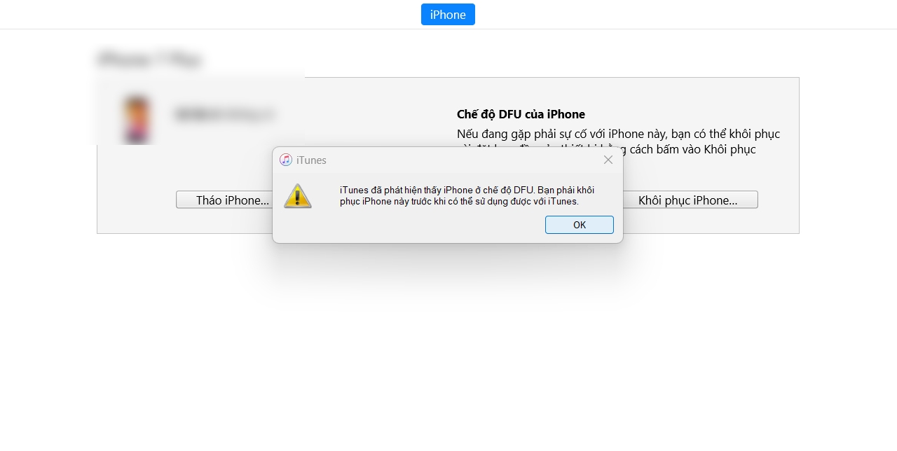 Quên mật khẩu giới hạn iPhone (ảnh 3)