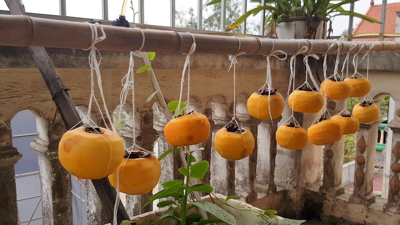 Cách làm hồng treo gió (Hình 3)