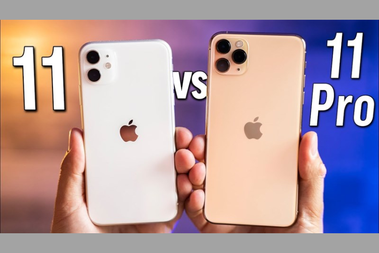 So sánh iPhone 11 và 11 Pro về kích thước và trọng lượng