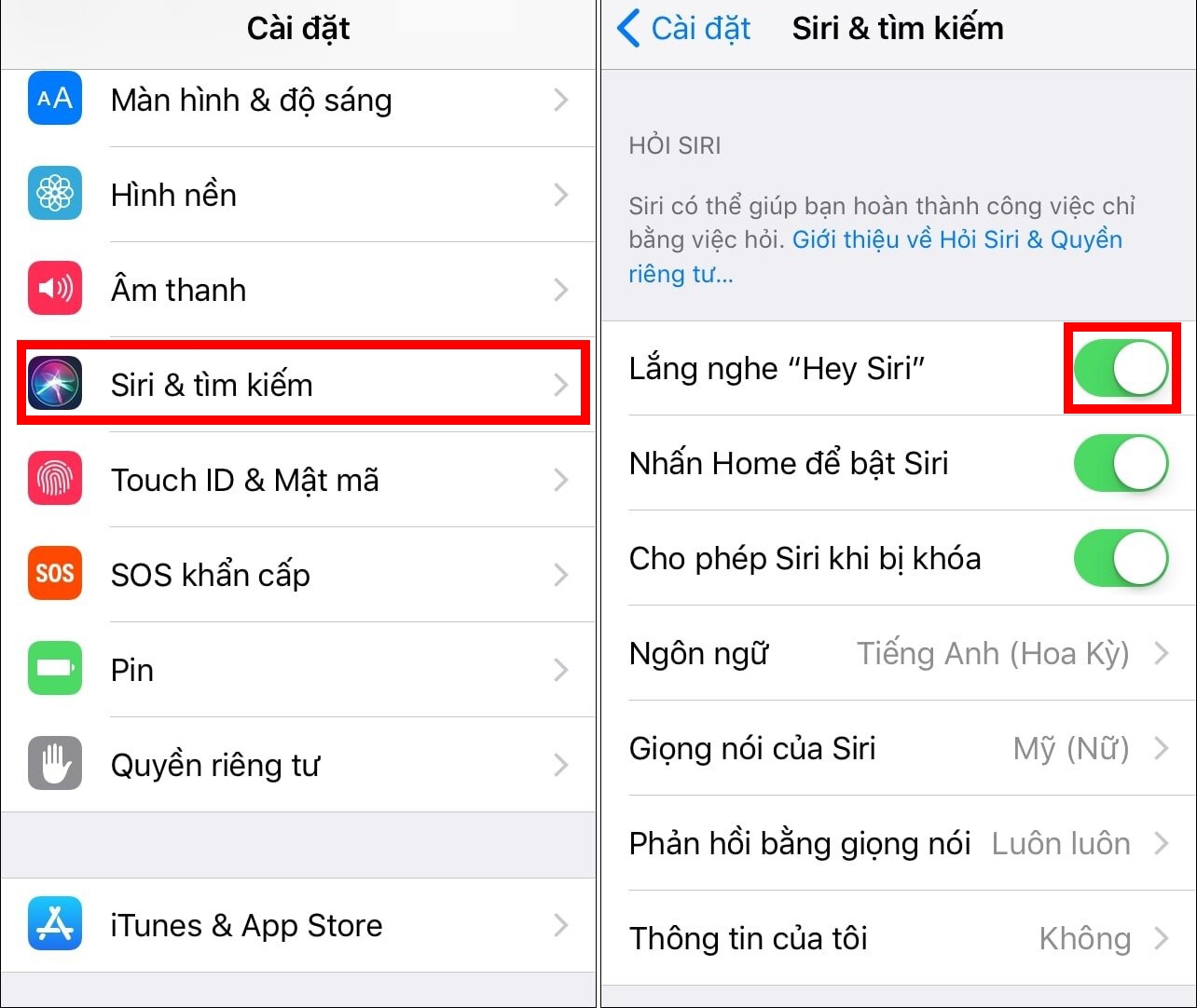 Siri tiếng Việt 2