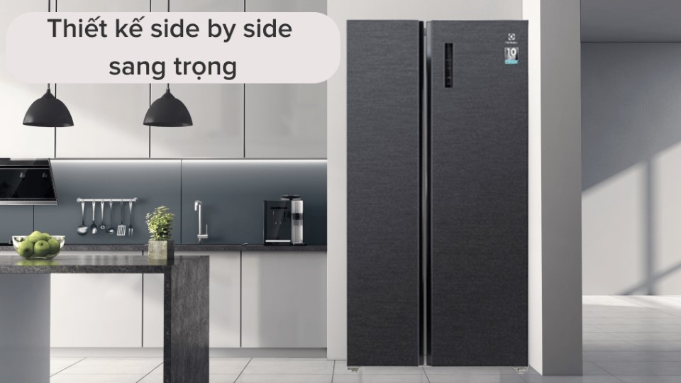 Tủ lạnh Electrolux ESE5401A-BVN 2 cánh