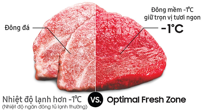 Tủ lạnh Samsung 256L hình 4