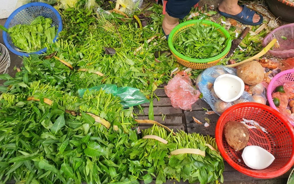 Nhận biết qua màu sắc bó rau muống