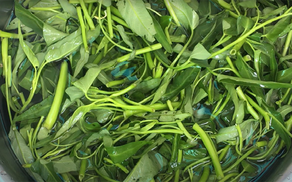 Cách chọn mua bó rau muống ngon và an toàn