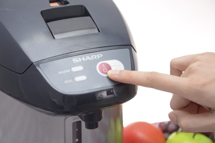 Bình thủy điện Nhật (ảnh 1)