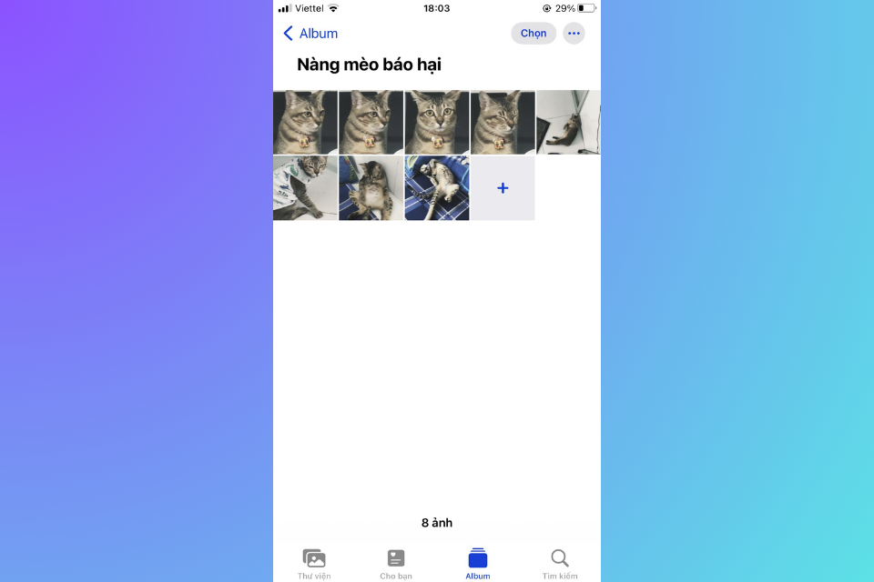 Vào thư viện ảnh của bạn, chọn các bức ảnh yêu thích và thêm nó vào một album riêng