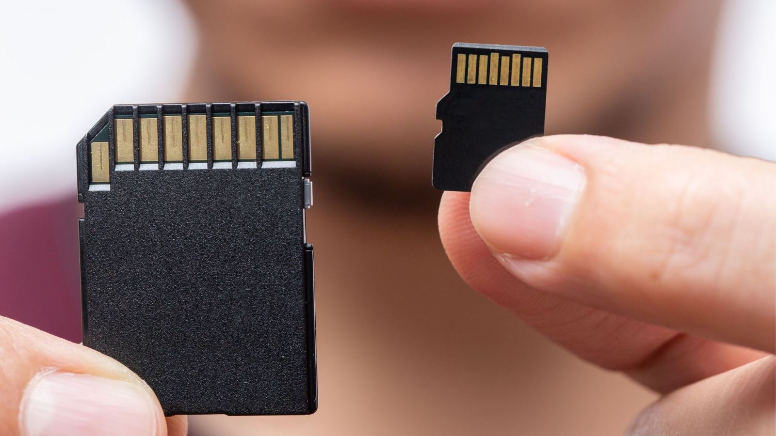 Bộ nhớ và lưu trữ