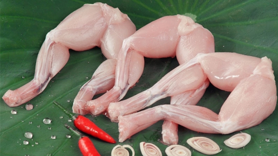 Lưu ý về cách chọn ếch ngon cho món ếch om cà.