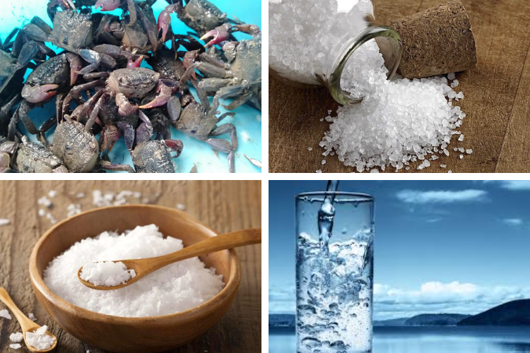 Cách làm mắm ba khía miền Tây vừa đơn giản mà đậm đà, thơm ngon ai cũng có thể chế biến ngay tại nhà - hình 1
