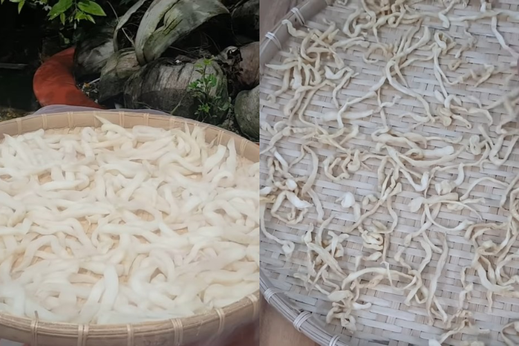 Hé lộ một số cách làm củ cải khô ngâm chua ngọt đưa miệng, giải ngấy phù hợp khẩu vị của cả gia đình - hình 4