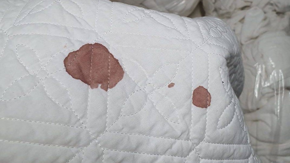 Tẩy vết máu, vết sữa trên quần áo