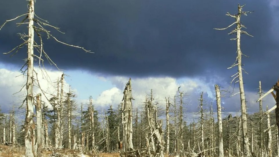 Ảnh hưởng của không khí tới cuộc sống