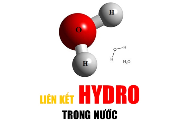 Cấu tạo của liên kết hydrogen