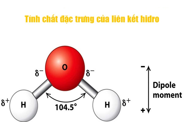Tính chất đặc trưng của liên kết hidro