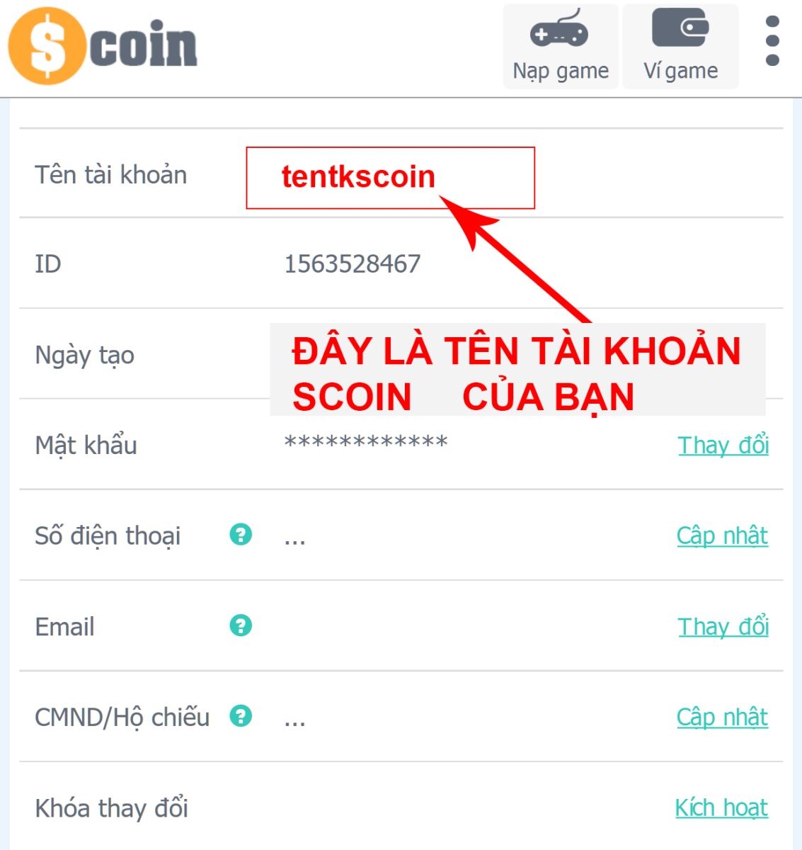 Hướng dẫn lấy tên tài khoản Scoin
