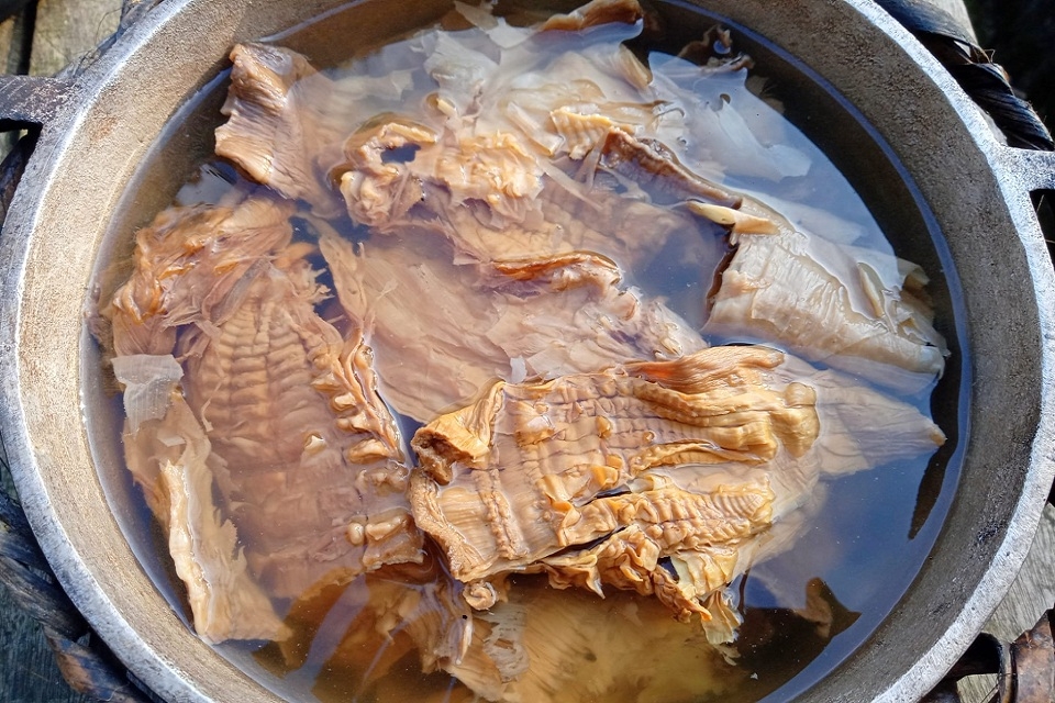 Măng khô bị đen 4