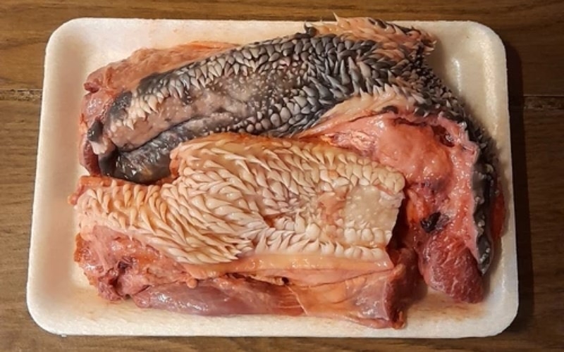 Mép bò là gì 1