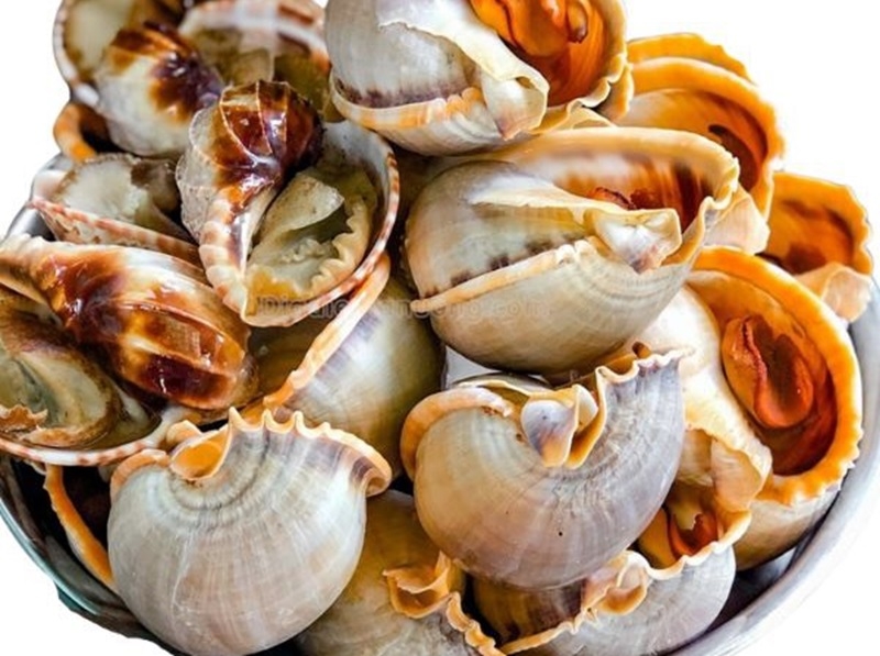 Ốc tỏi làm gì ngon 1