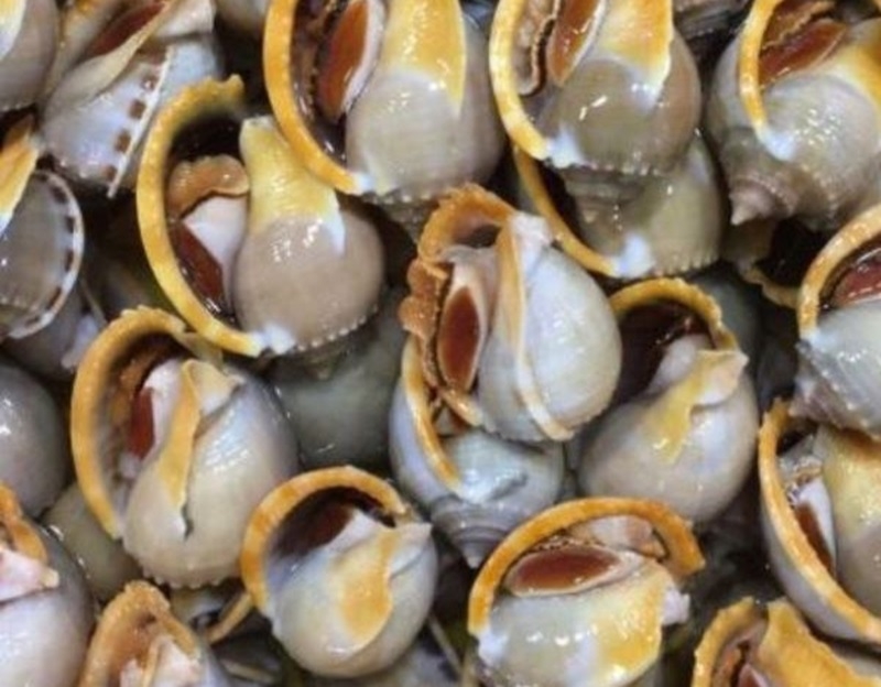 Ốc tỏi làm gì ngon 5