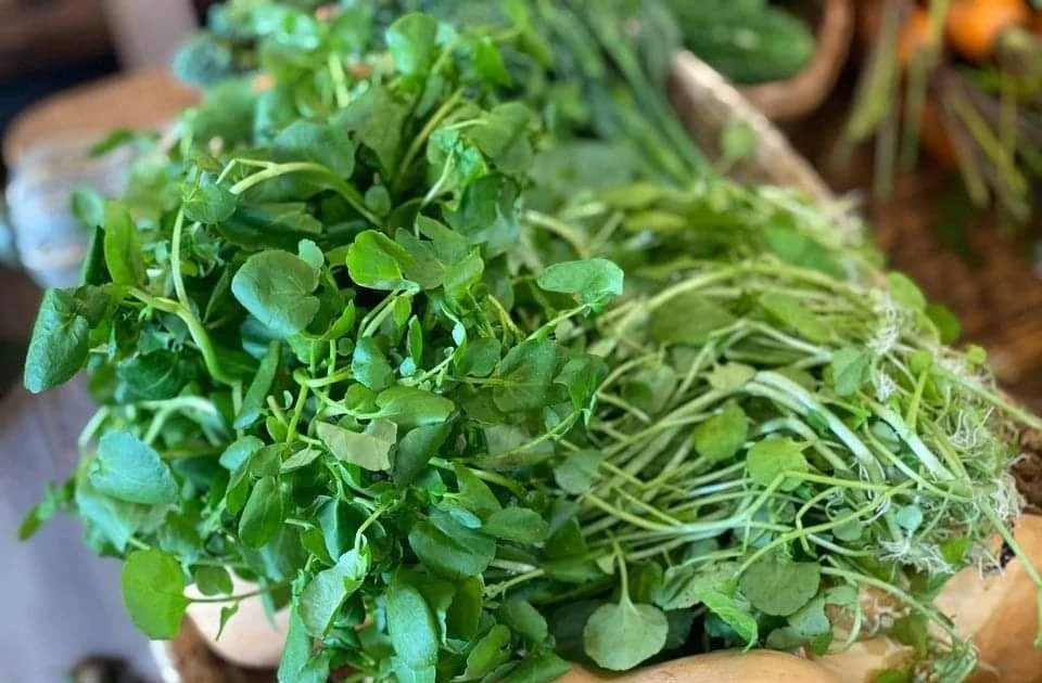 Rau cải xoong nấu món gì 1