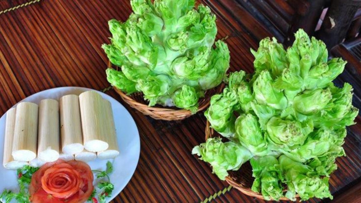 Rau mầm đá là gì 2